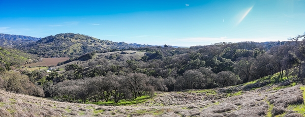 New A Zone Ranch Lease (Napa County, California)